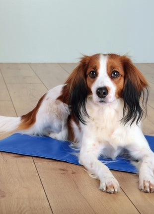 Trixie Mata chłodząca 40x30cm niebieska [28683]