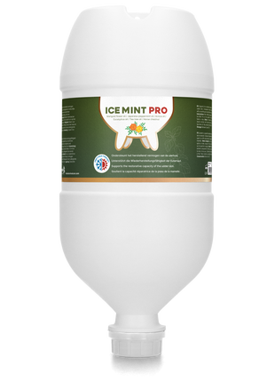 Ice Mint Pro Gel Hangtube 2,5 l