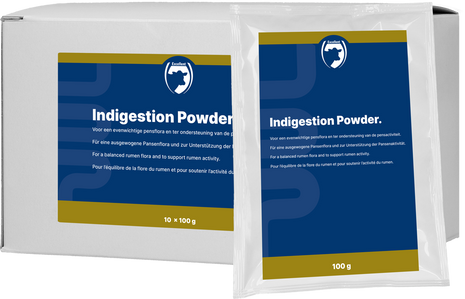Excellent Indigestie Poeder 10 x 100 g