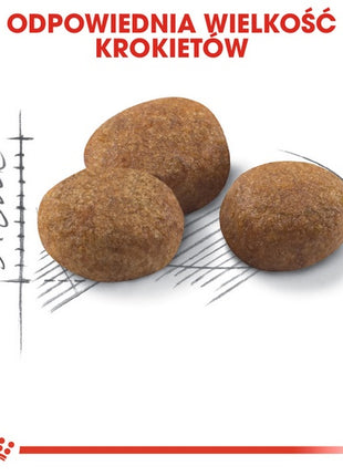 Royal Canin Sterilised 7+ karma sucha dla kotów dorosłych, od 7 do 12 roku życia, sterylizowanych 400g