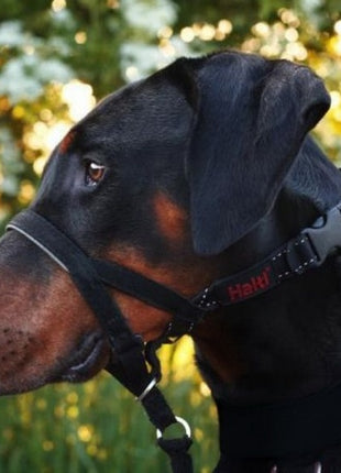 Halti Kantarek - obroża uzdowa rozmiar 3 czarna
