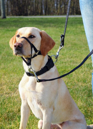 Trixie Uprząż Top Trainer S 22cm [13002]