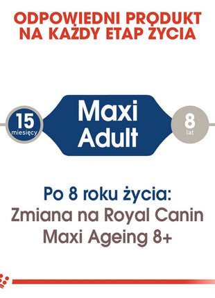 Royal Canin Maxi Adult karma mokra w sosie dla psów dorosłych, do 5 roku życia, ras dużych saszetka 140g