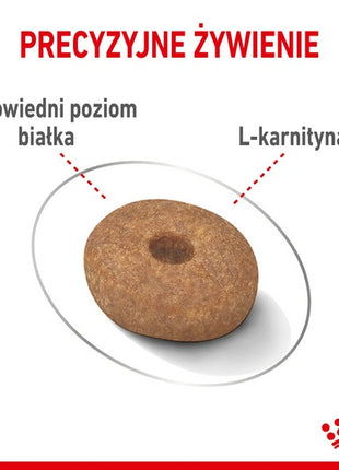 Royal Canin Mini Light Weight Care karma sucha dla psów dorosłych, ras małych z tendencją do nadwagi 1kg