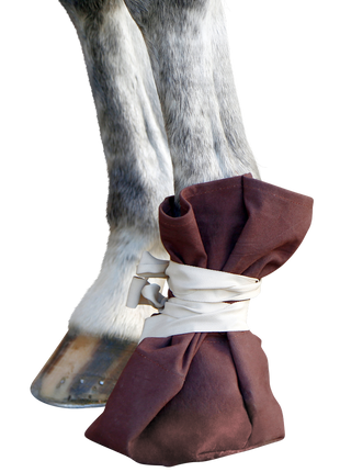 Klauw / Hoefzak voor rund en paard