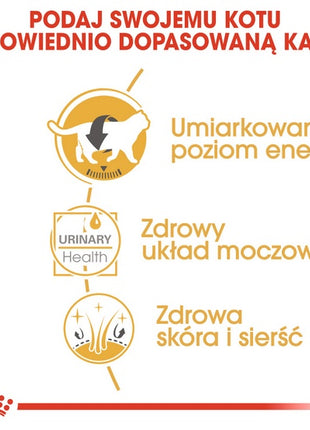 Royal Canin British Shorthair karma mokra w sosie dla kotów dorosłych rasy brytyjski krótkowłosy saszetka 85g