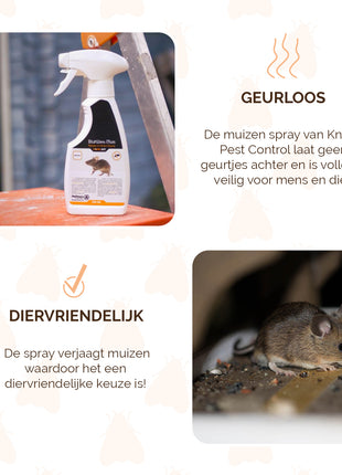 Knock Pest BlijfWeg Muis