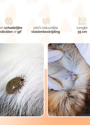 Knock Pest Vlooien/Tekenband Kat 33 cm DE/UK