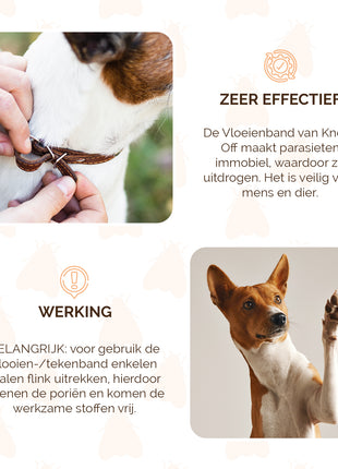 Knock Pest Vlooien/Tekenband Hond NL/FR