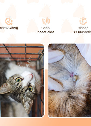 Knock Pest vlooien-tekenpipet Kat DE/UK
