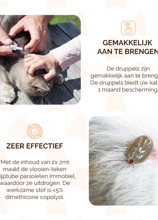 Knock Pest vlooien-tekenpipet Kat NL/FR