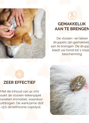 Knock Pest vlooien-tekenpipet Hond ≥ 5 kg