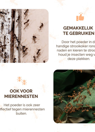 Knock Pest Insectenpoeder 250 g