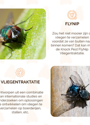 Knock Pest FlyNip Vliegentraktatie