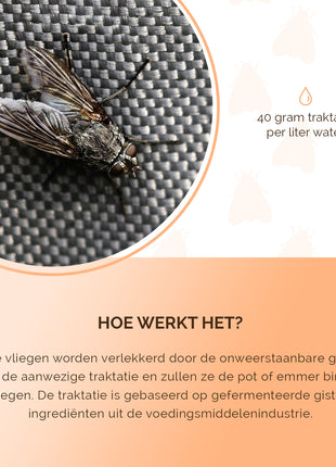 Knock Pest FlyNip Vliegentraktatie