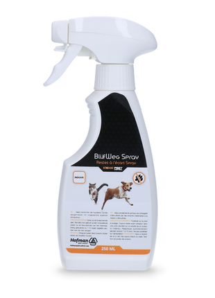 Knock Pest BlijfWeg Spray voor binnen