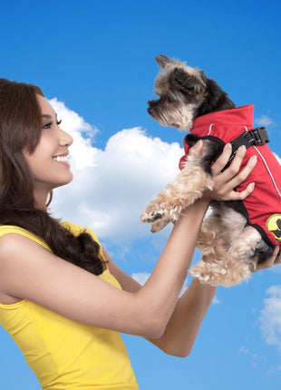 Dog Armor Knockdown Coat (Insect Shield) XXXXS (20cm ruglengte)