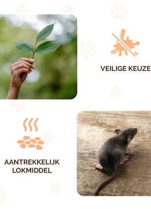 Knock Pest Traktatie Pellets
