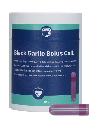 Excellent Black Garlic Bolus Kalf