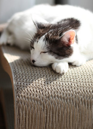 MyKotty Drapak Lui brązowy