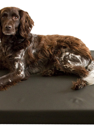 HD Dog Bed
