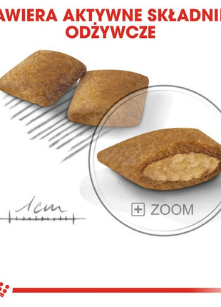 Royal Canin Mini Exigent karma sucha dla psów dorosłych, ras małych, wybrednych 1kg