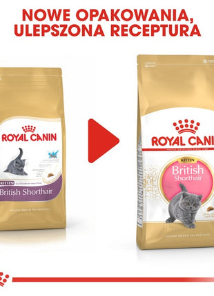 Royal Canin British Shorthair Kitten karma sucha dla kociąt, do 12 miesiąca, rasy brytyjski krótkowłosy 2kg
