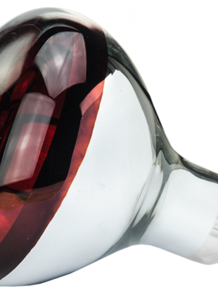 Hard Glas Lamp 150 W - Rood
