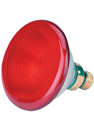 Spaarlamp 100 W - Rood