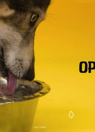 Excellent Pets No-Spill Bowl