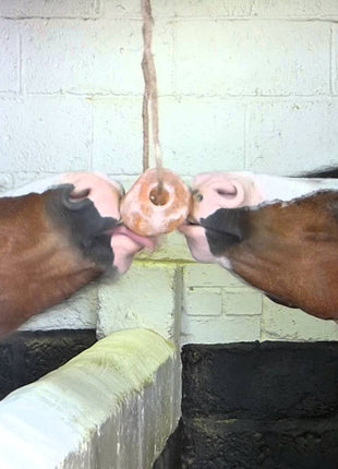 Excellent Horse Salt Lick Himalaya 2-3 kg (Met touw)