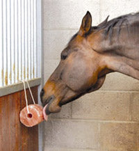 Excellent Horse Salt Lick Himalaya 2-3 kg (Met touw)