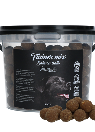 Luna's Choice Trainer Mix Zalm Balletjes (glutenvrij)