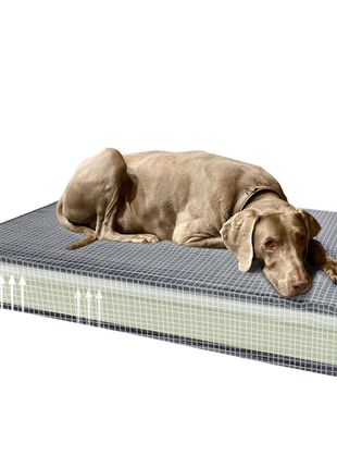 Madison Orthopedisch Kussen Velvet Geel S