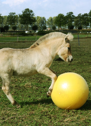 Maximus Power Play Ball