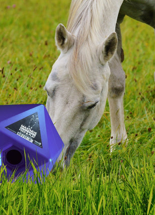 Maximus Feed & Play Blauw