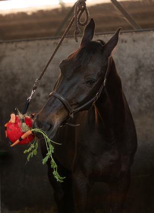 Excellent Horse Fun Play Ball Roze