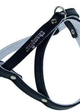 Champion Szelki 50 czarne [SD]