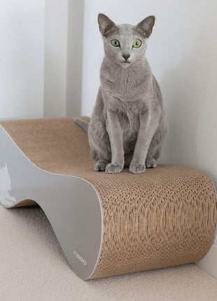 MyKotty Drapak Vigo siwy