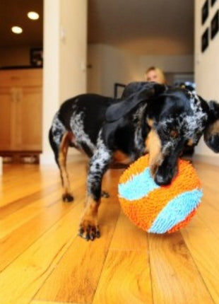 Chuckit! Indoor Ball [213201]