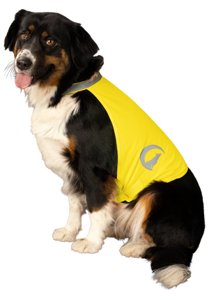 Nightwalk Safety Vest Geel