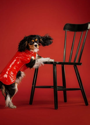 Chaba Kubrak Dopamine 3XL czerwony