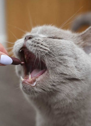 UrinoVet Cat Dilution 45 kapsułek