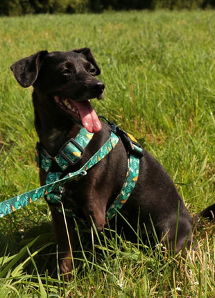 Dingo Smycz przepinana City - Monstera 3x220cm