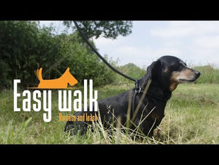 Easy Walk Schoudermodel Zwart - Mini