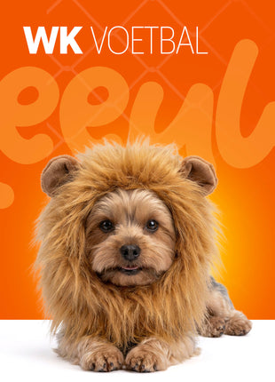 Oranje Manen Tooi