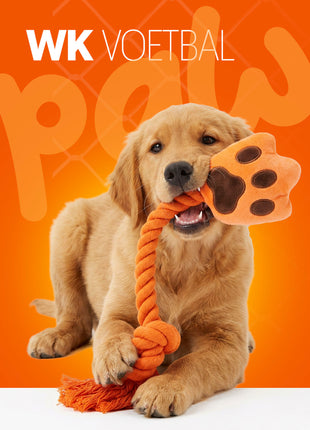 Oranje High Five