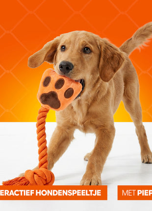 Oranje High Five
