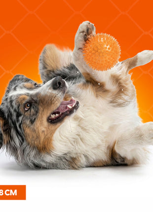 Oranje Egelbal M