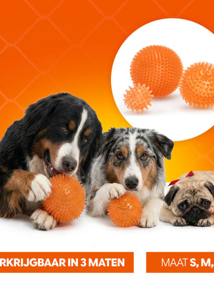 Oranje Egelbal M